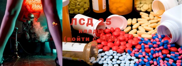 прущие крисы Абаза
