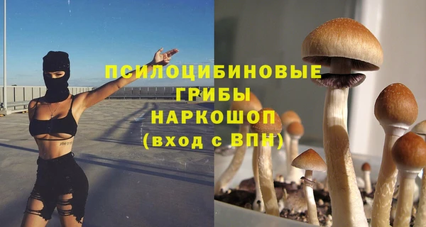 mix Алексин