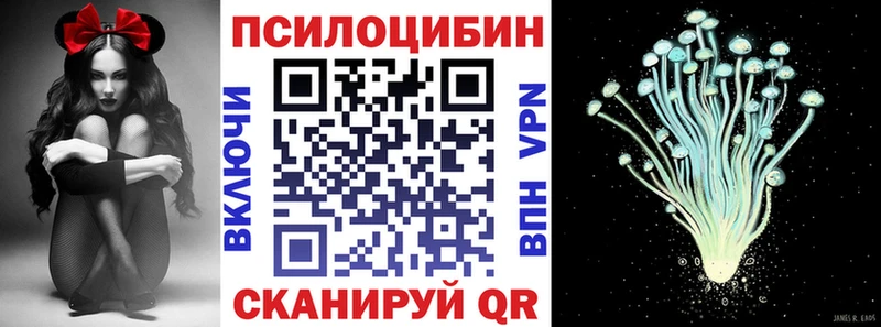 сколько стоит  Тольятти  Псилоцибиновые грибы Psilocybe 