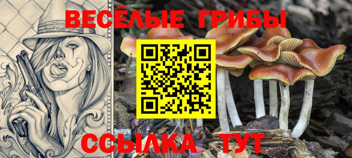 Тольятти  Гашиш  Каннабис  Кетамин  Вход с VPN  Cocaine  МЕФ кристаллы 
